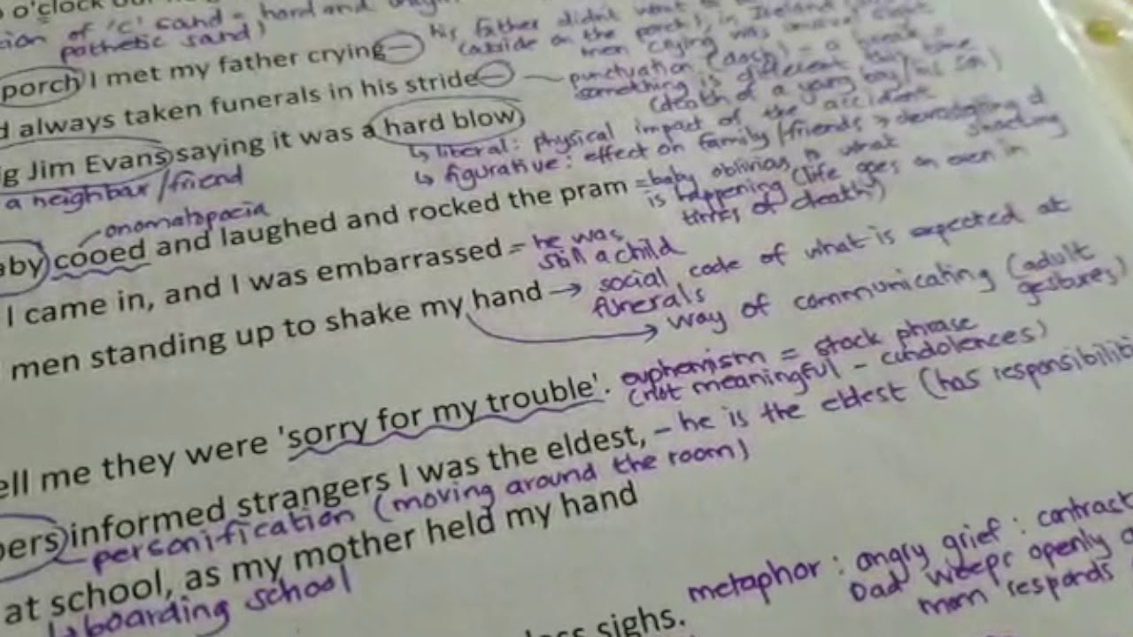Mid Term Break Poetry Analysis