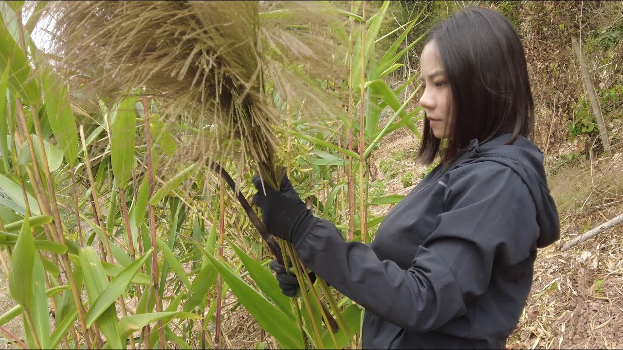 老挝人挣钱有多难？