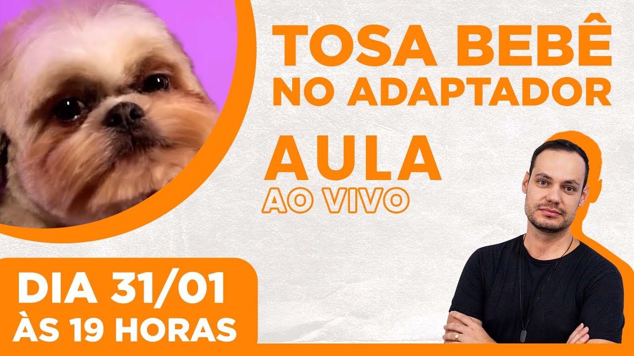 Tosa Bebê no Adaptador em Shih-Tzu - Live #082