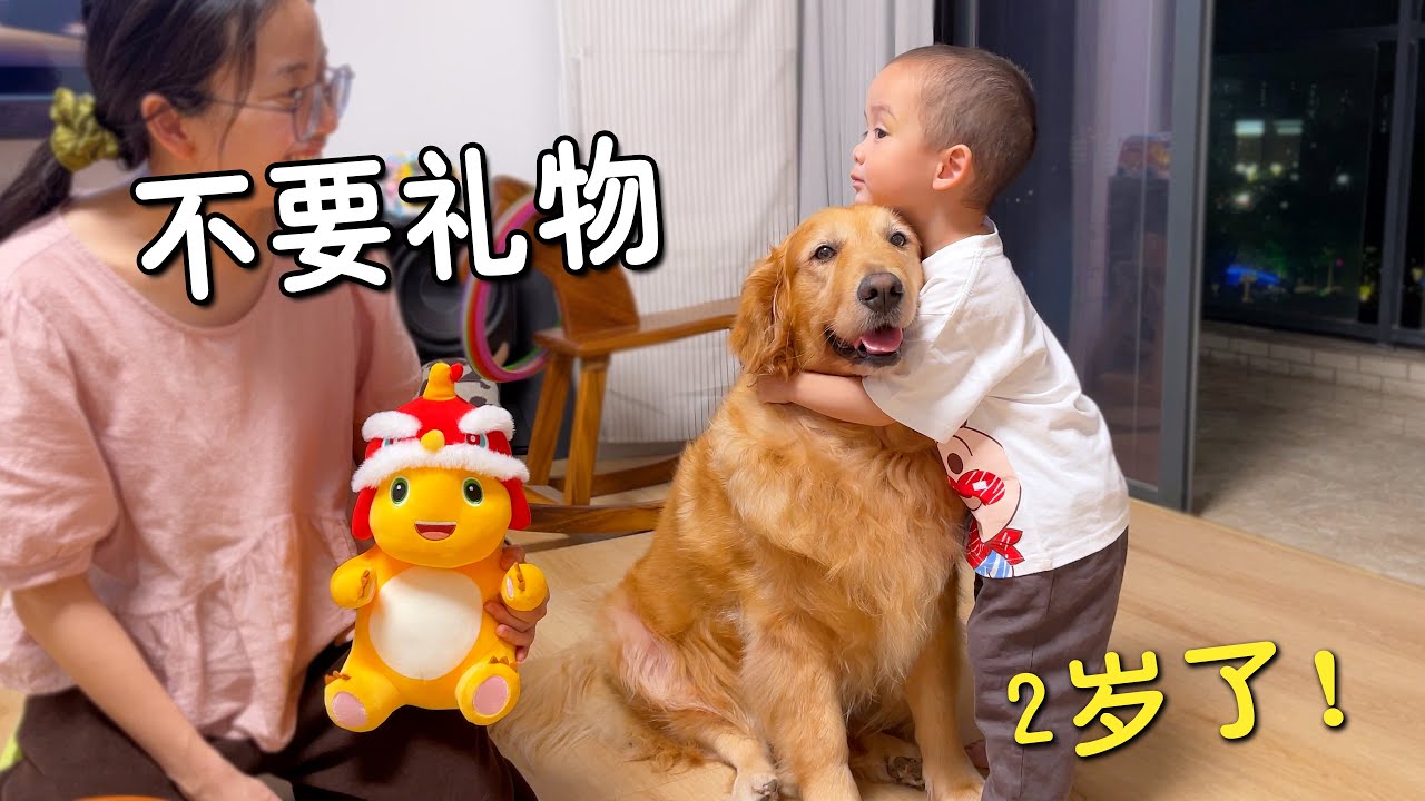 小主人不要生日礼物，只要狗狗？！