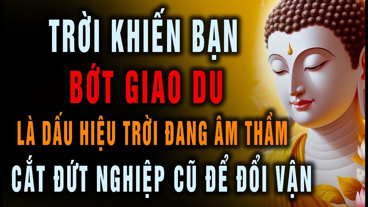 Trời Khiến Bạn Bớt Giao Du, Là Dấu Hiệu Trời Đang Âm Thầm Cắt Đứt Nghiệp Cũ Để Đổi Vận