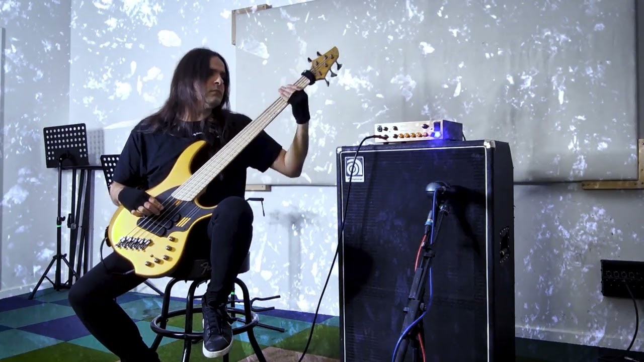 Eluveitie - The Call Of The Mountains (Bass Cover) // Dingwall NG3 5