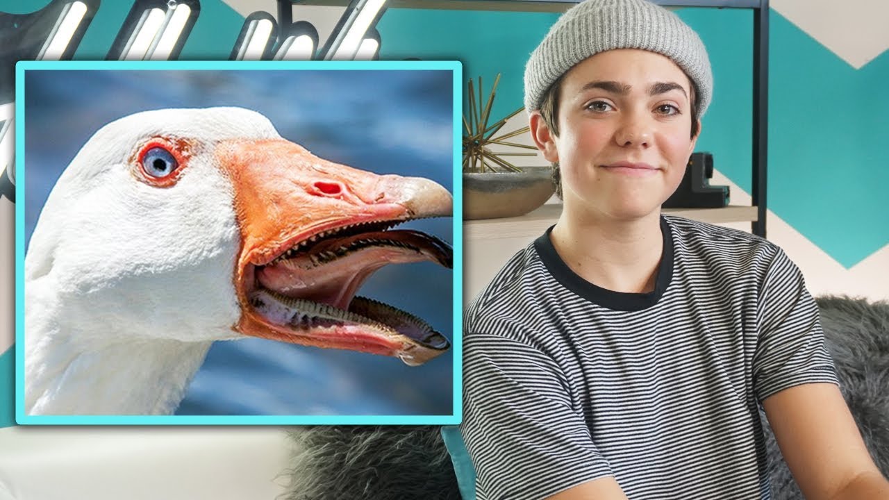 Austin Brown Reveals Funny Behind the Scenes Stories of Filming 'In Betweenin' and more! | Interview