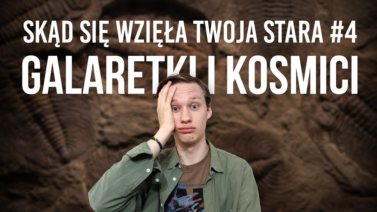 🪼 CZYM SĄ ZWIERZĘTA? | Skąd się wzięła twoja stara #4