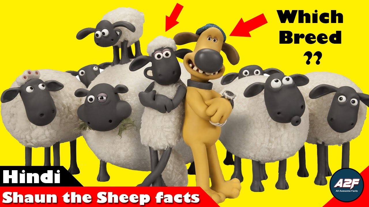 Facts about shaun the sheep in hindi | shaun the sheep facts in hindi