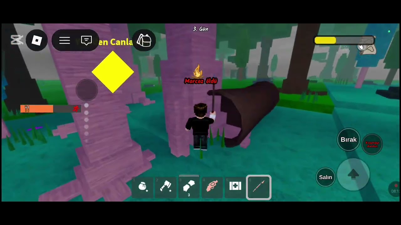 Ormanda oynadım arklarla