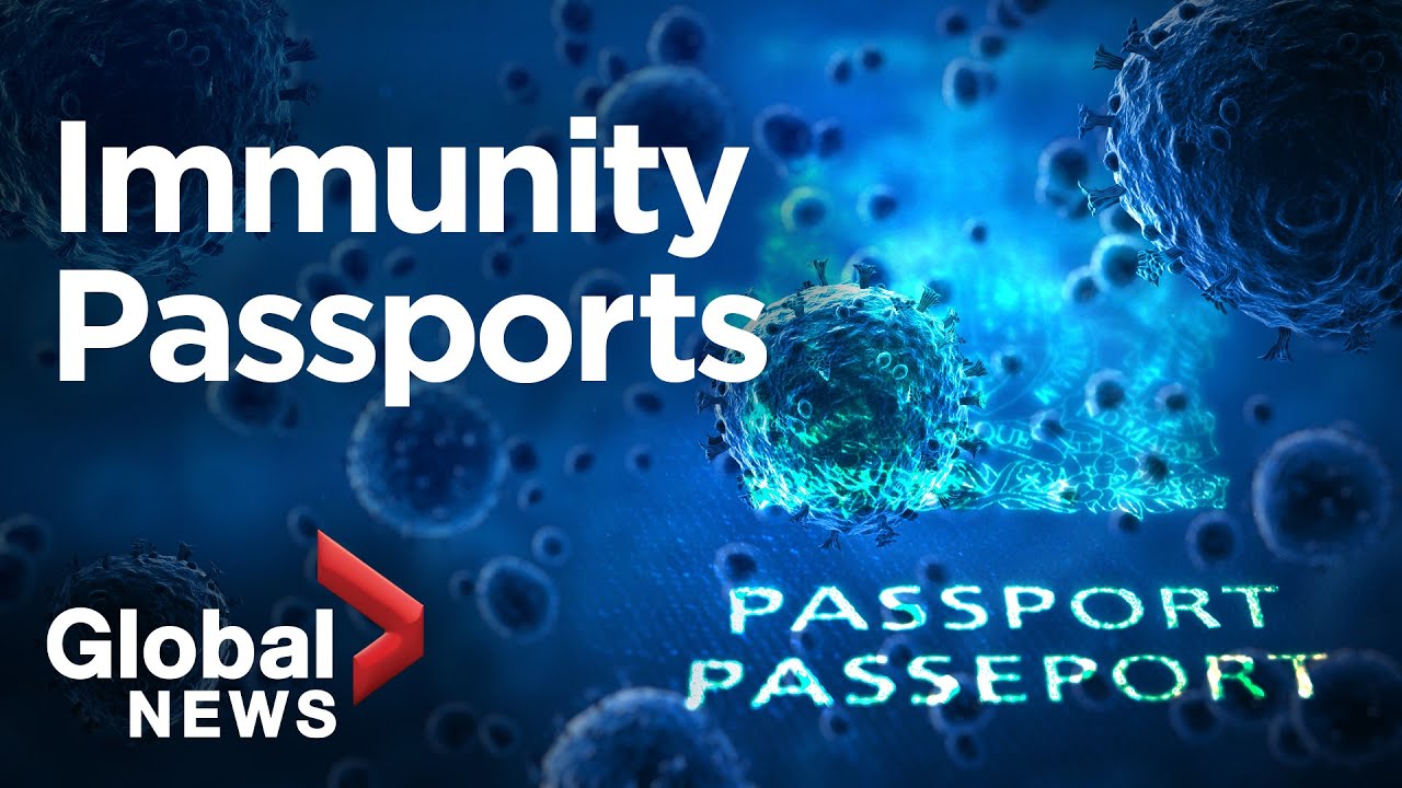 Coronavirus outbreak: Could immunity passports become the new normal?