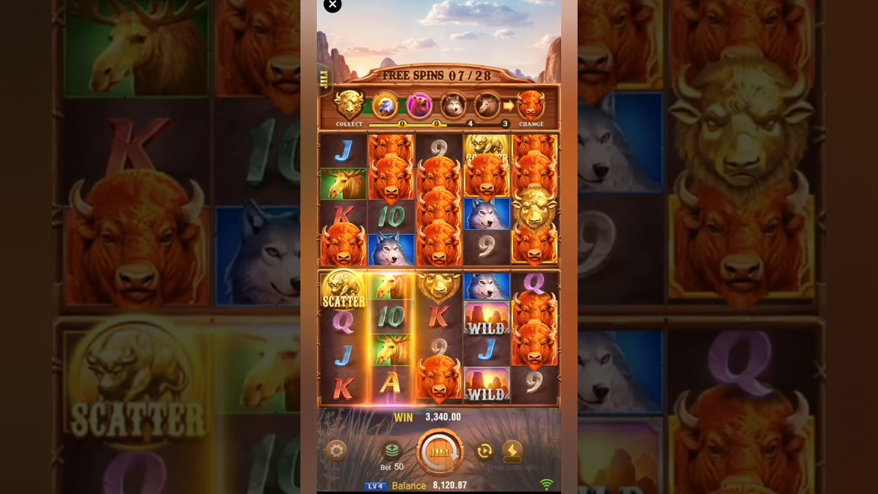 3 Charge Buffalo Bigwin #3chargebuffalo