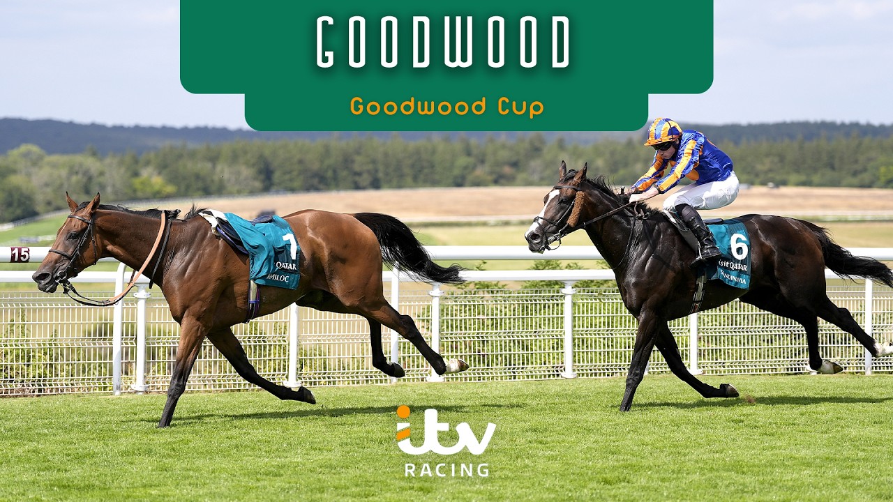 A DRAMATIC race! | Al Shaqab Goodwood Cup | Full Race + Reaction