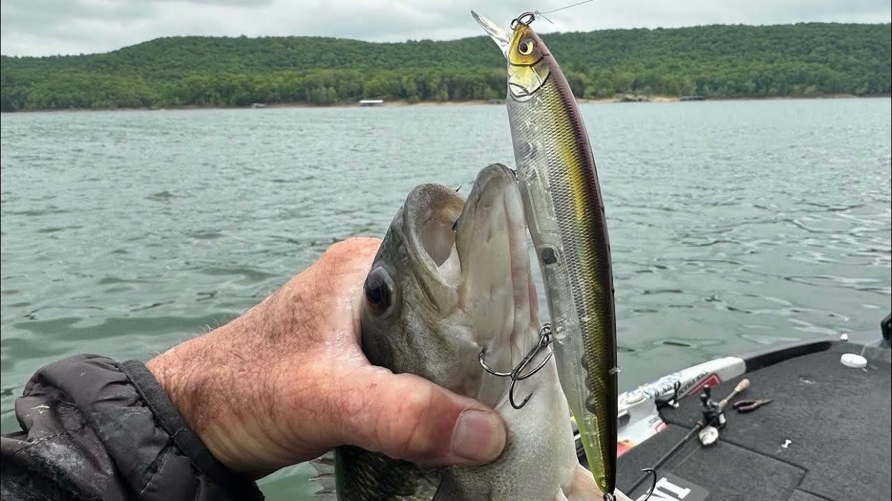 Watch What Bass Do To This Big Jerkbait…
