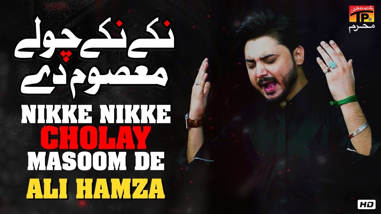 Nikke Nikke Cholay Masoom De | Ali Hamza | Nohay | Moharram | TP Muharram