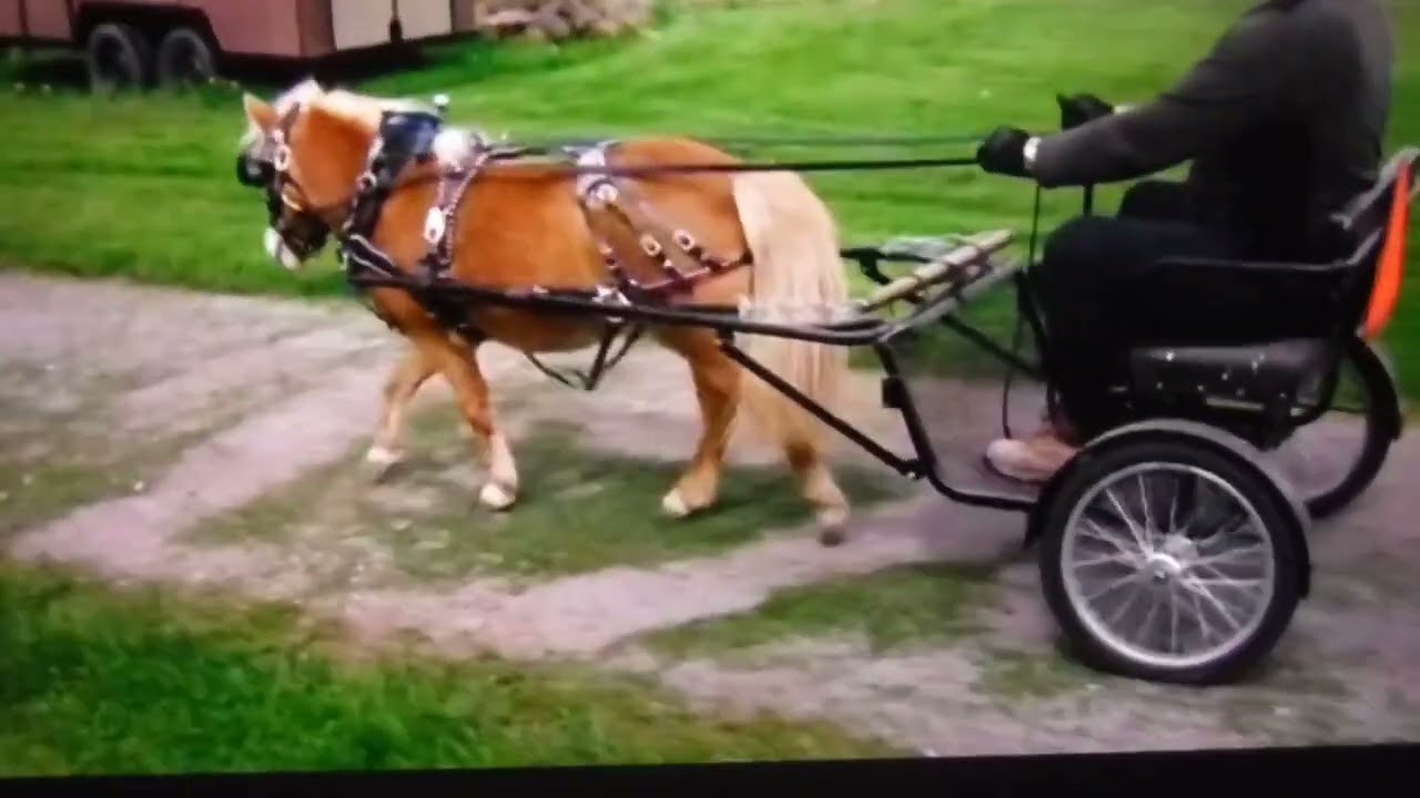 Wheels and Round.