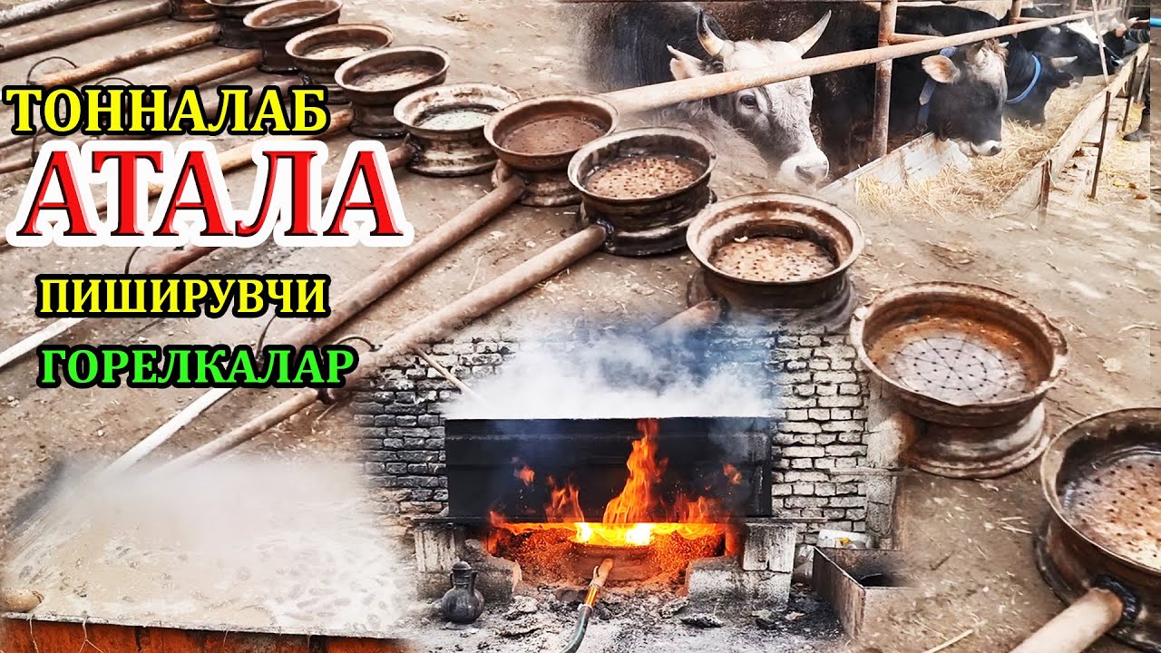1 тонна АТАЛАНИ 🐮 1 соатда пиширадиган Кумир ГОРЕЛКА