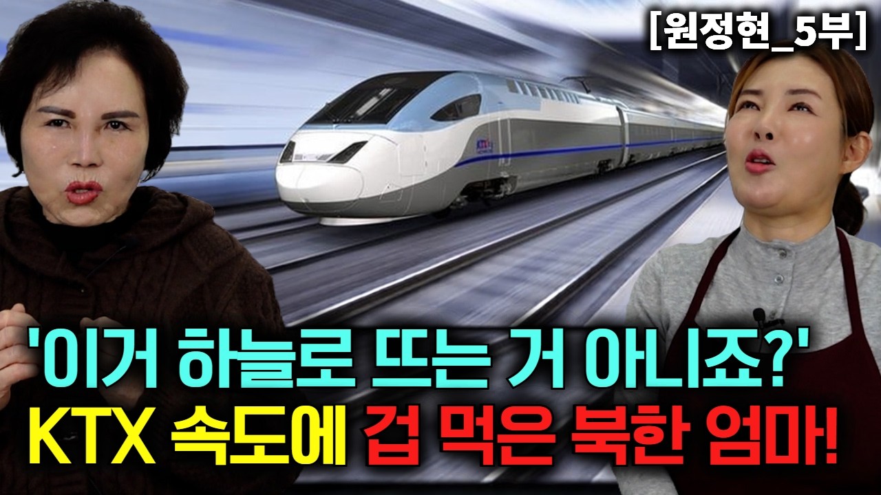 '이거 하늘로 뜨는 거 아니죠?' KTX 속도에 겁 먹은 북한엄마! [원정현_5부]