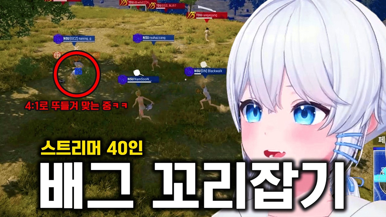 스트리머 40명 배그에서 꼬리잡기 시키면 생기는 일ㅋㅋ