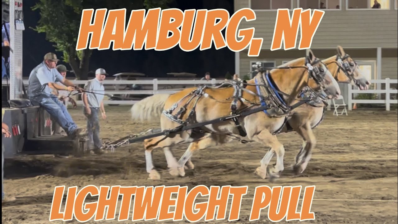 Big time horse pull in Hamburg, NY.