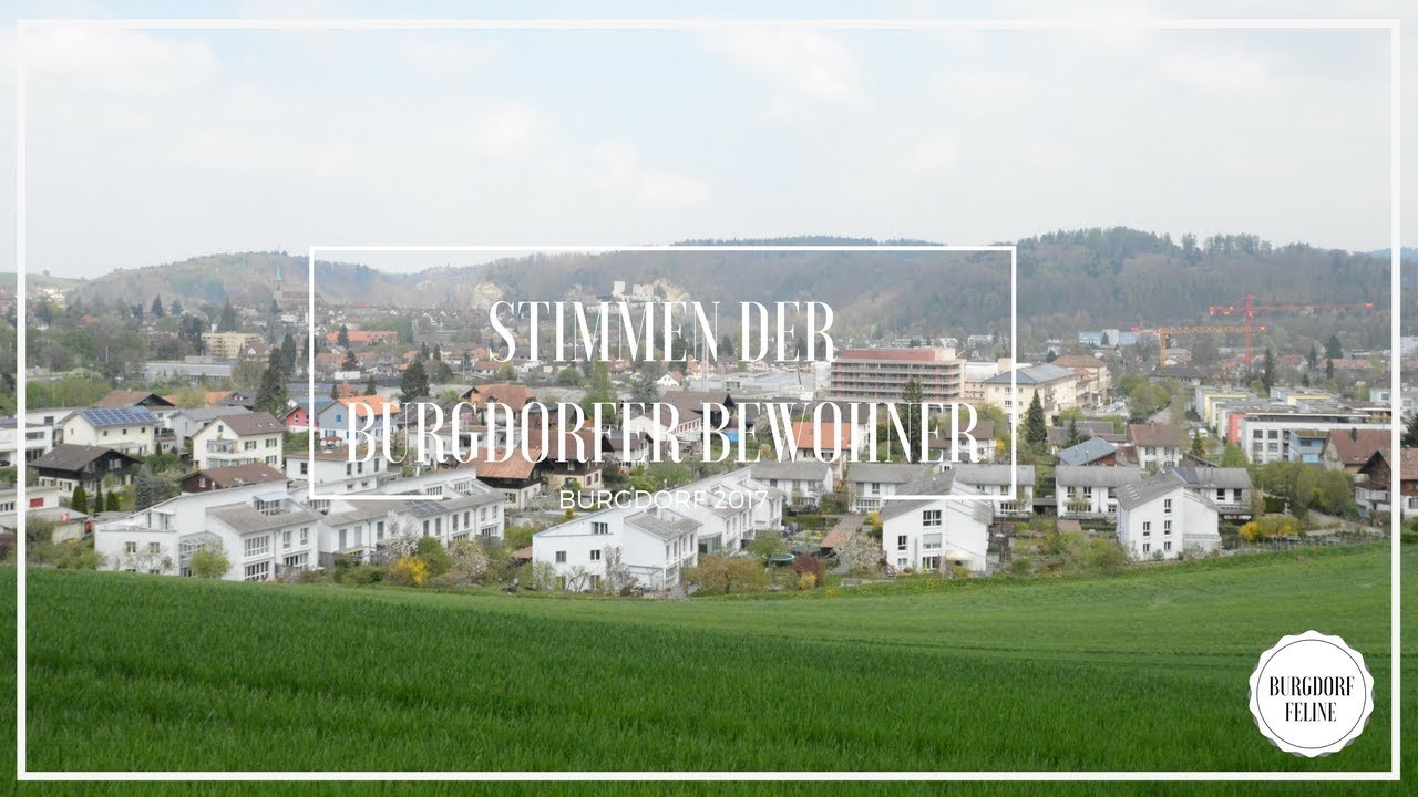 Stimmen der Burgdorfer Bewohner / Maturaarbeit