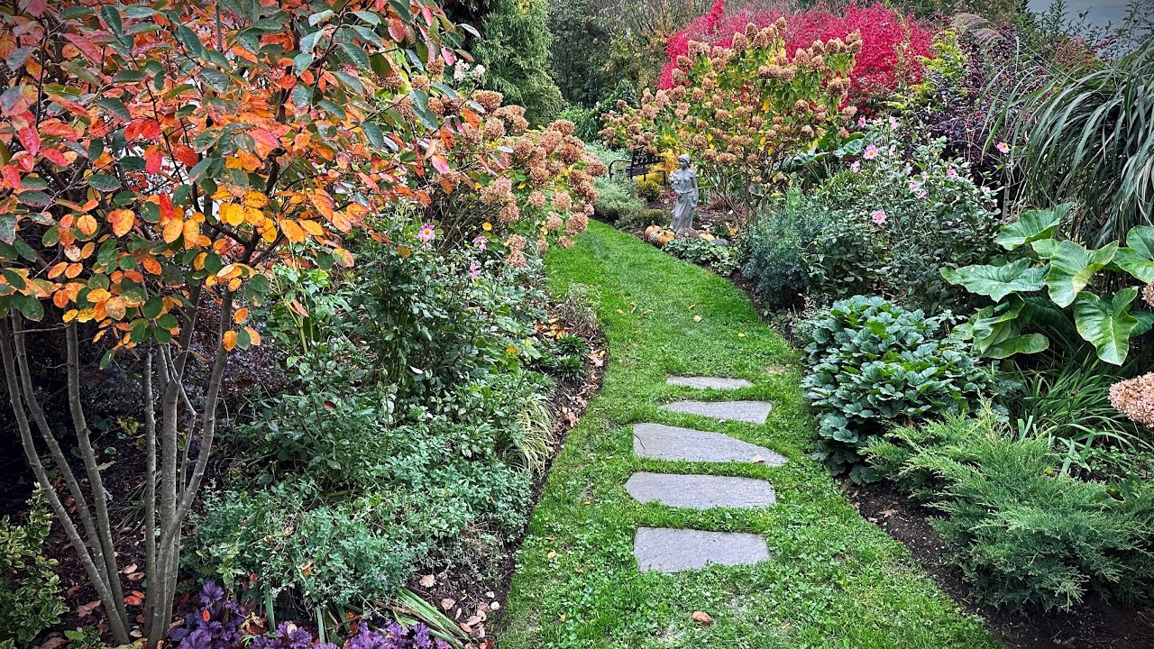Fall Garden Tour! Shrubs, trees, and perennials with stunning fall foliage color in late October 🍁🍂😍