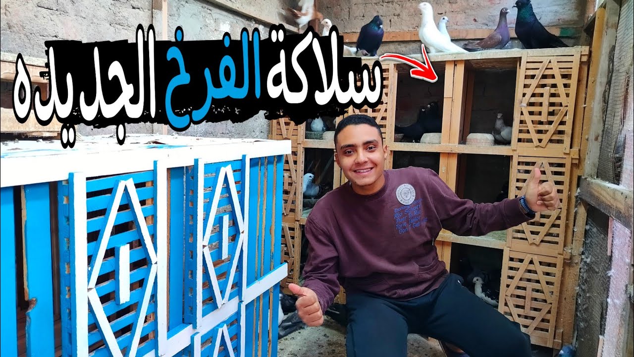 اخيراااا هجدد سلاكة الشبابات 😀 ونقلت العيون الجديده فيها (مفجاء زغليل كتير ) #غاوي_السلاكة 