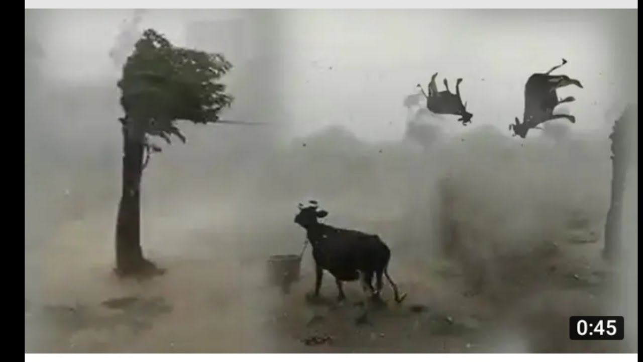 LIVE UPDATE cyclone yaas live update
