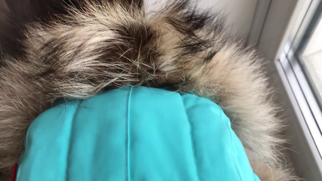 Canada Goose Aviator Hat Arctic Surf