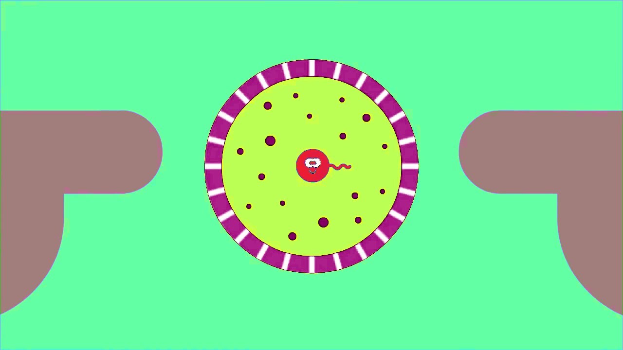His Got His Dad Pull Badge! - Hey Duggee (Sponsored by: Gamavision Effects)