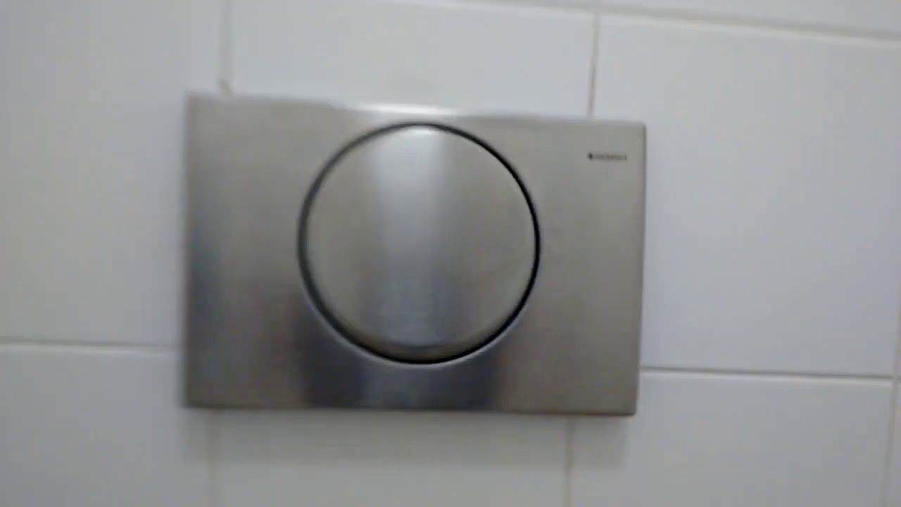 Wall hung toilet porcher