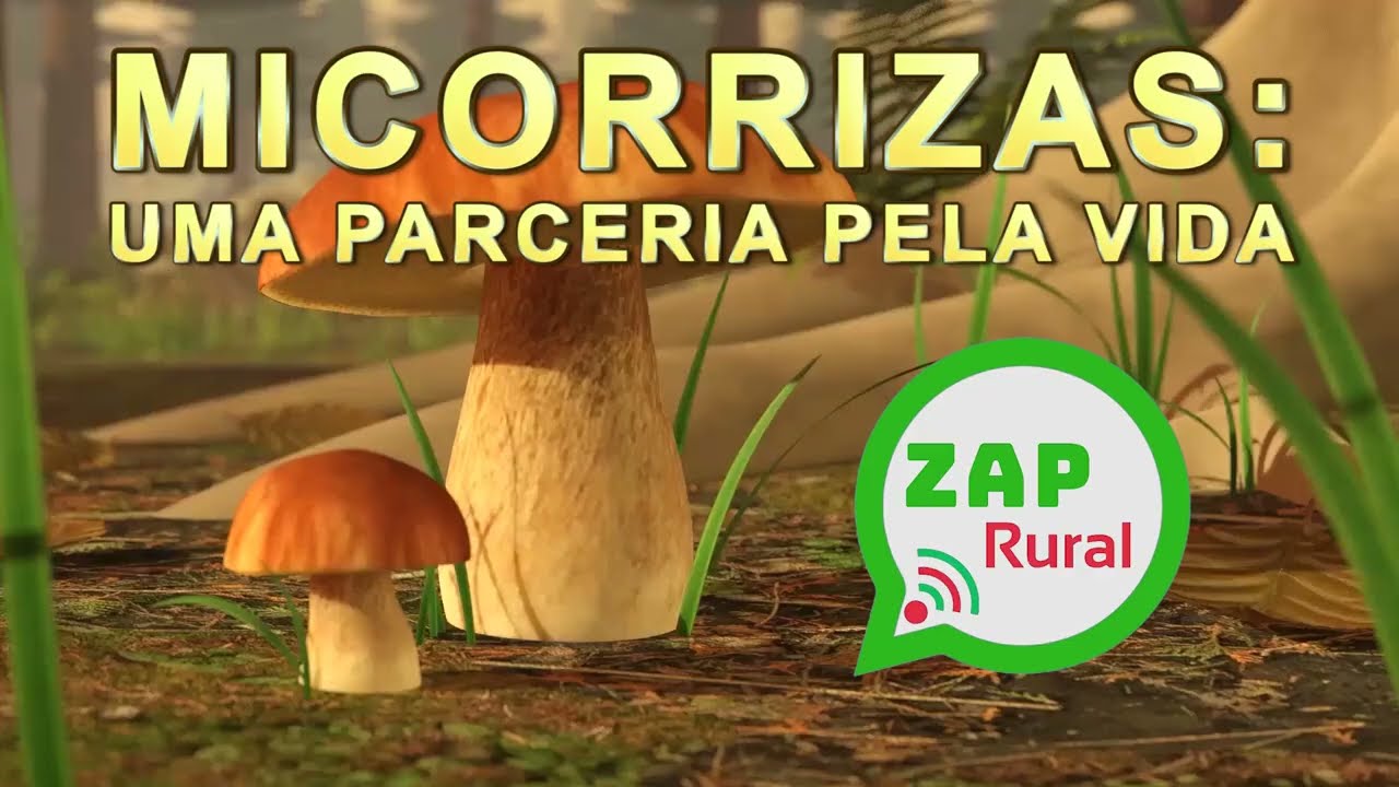 MICORRIZAS: UMA PARCERIA PELA VIDA