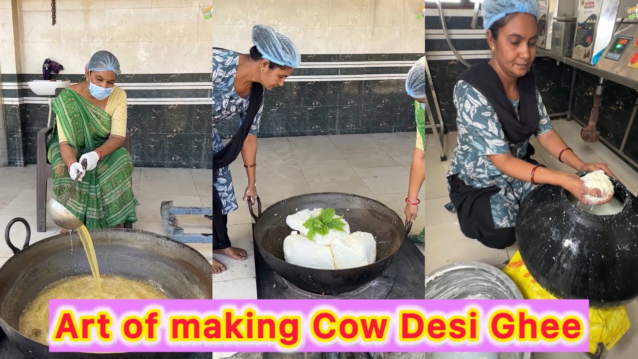 🌿 Art of Making Cow Desi Ghee in Rajkot, Gujarat – Traditional Full Process 🐄🔥