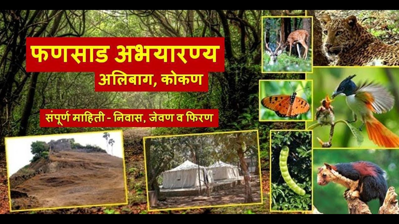फणसाड अभयारण्य (अलिबाग) कोकण, संपूर्ण माहिती - निवास, जेवण व फिरण