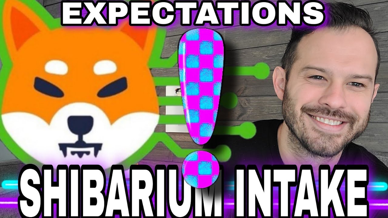 Shiba Inu Coin | Shibarium Intake Good Or Bad? Shytoshi Speaks #shib