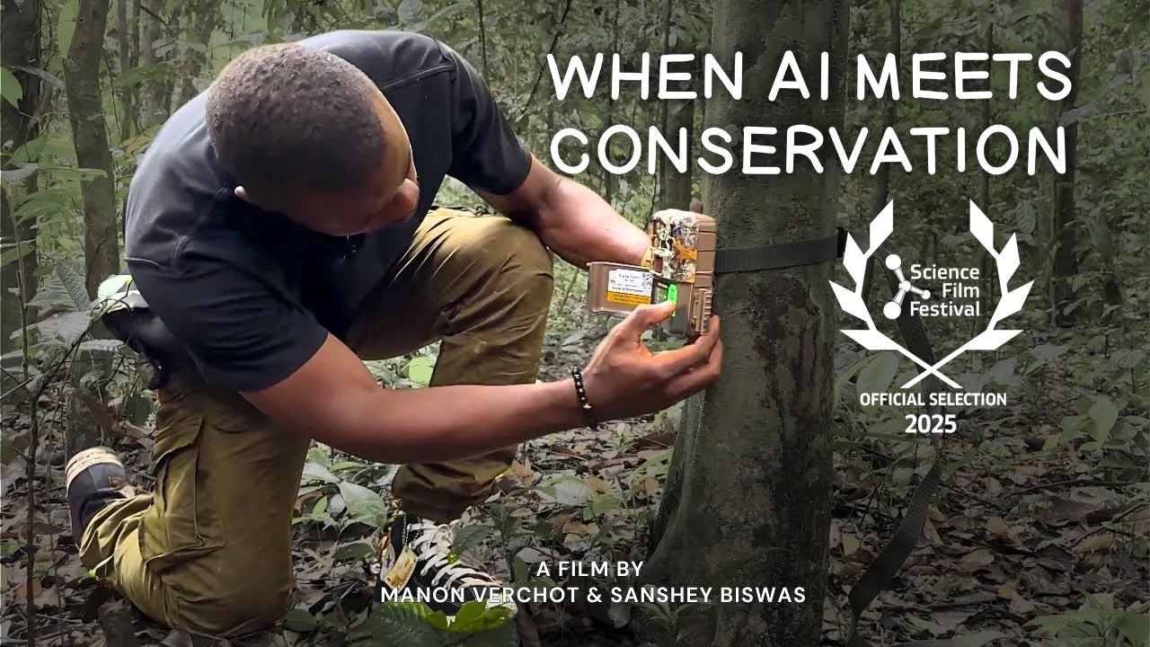 When AI Meets Conservation