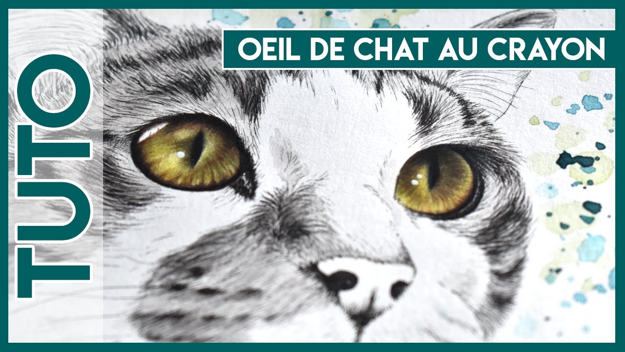 Tuto dessin, dessiner un œil de chat au crayon de couleur