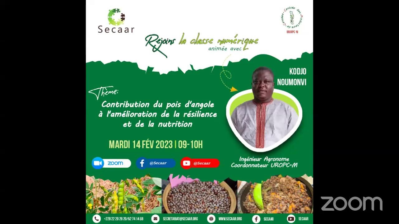 Contribution du pois d'angole à l'amélioration de la résilience et de la nutrition