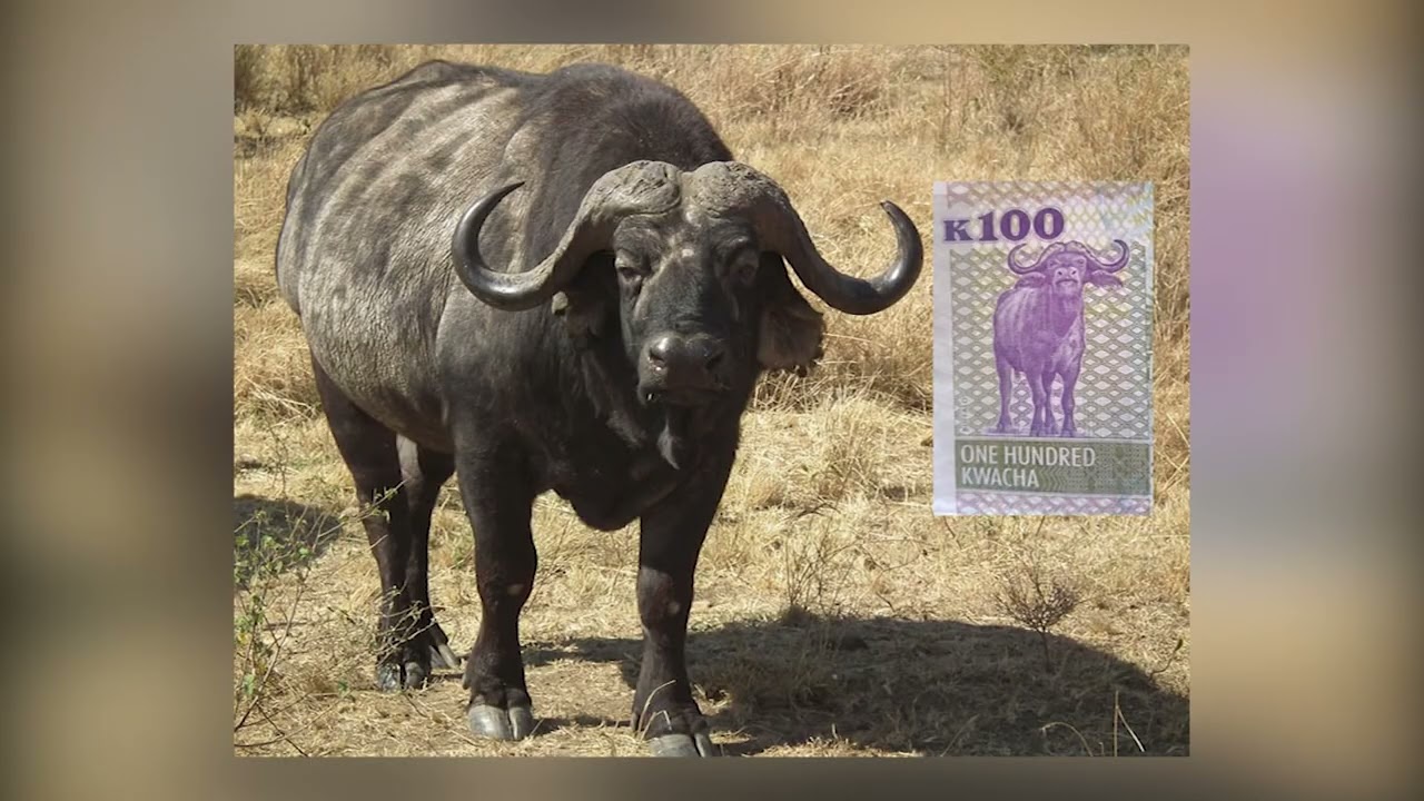 ZAMBIA INTRODUCES K500, K200 BANKNOTES