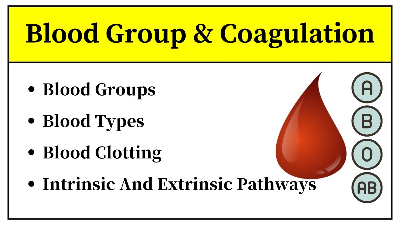 Intrinsic And Extrinsic Pathways Of Blood Clotting In Hindi || Blood Groups And Blood Types In Urdu