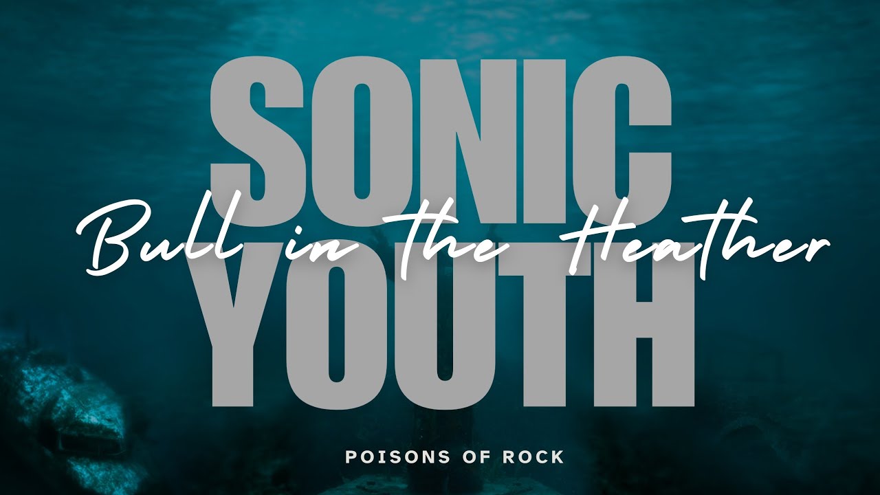 Sonic Youth - Bull in the Heather (1994) Lyrics Video