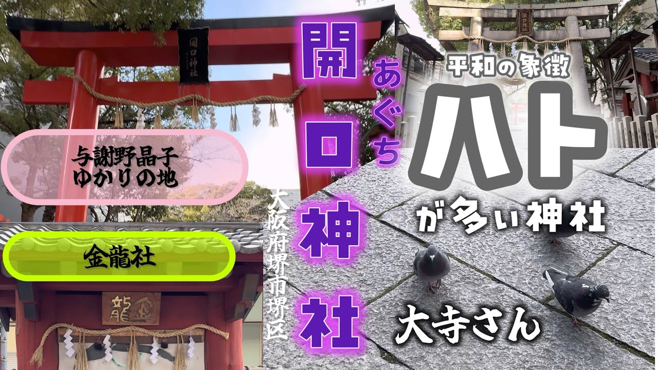 堺のパワースポット　とにかくハトが多い、龍神のエネルギーを感じる「金龍井」がある開口神社⛩️