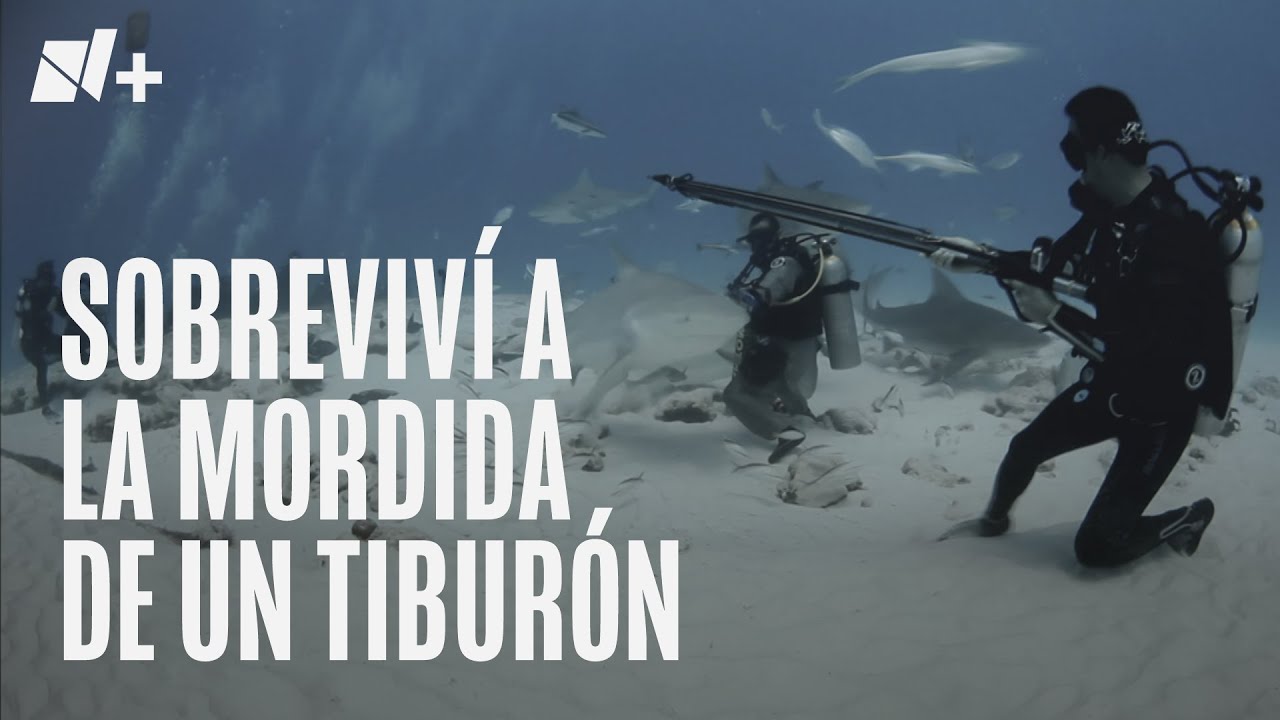 El científico mexicano que sobrevivió a la mordida de un tiburón - N+