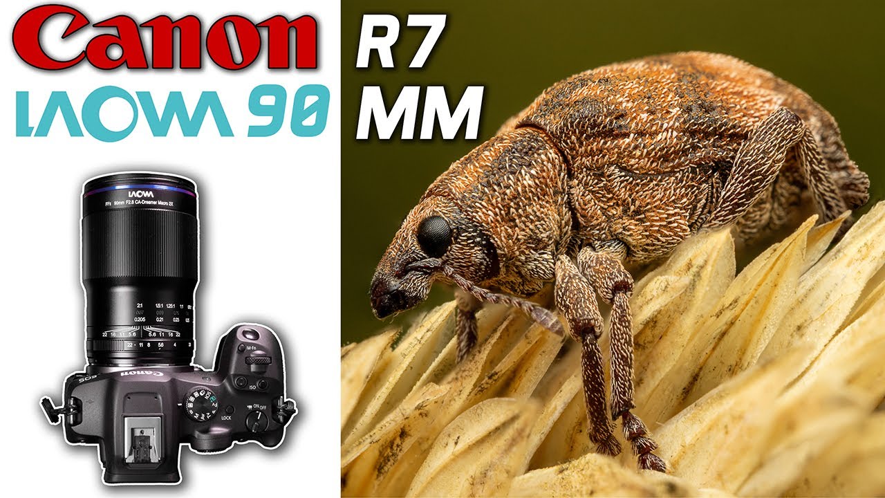 Extreme Macro in the Field with the Laowa 90mm & Canon R7