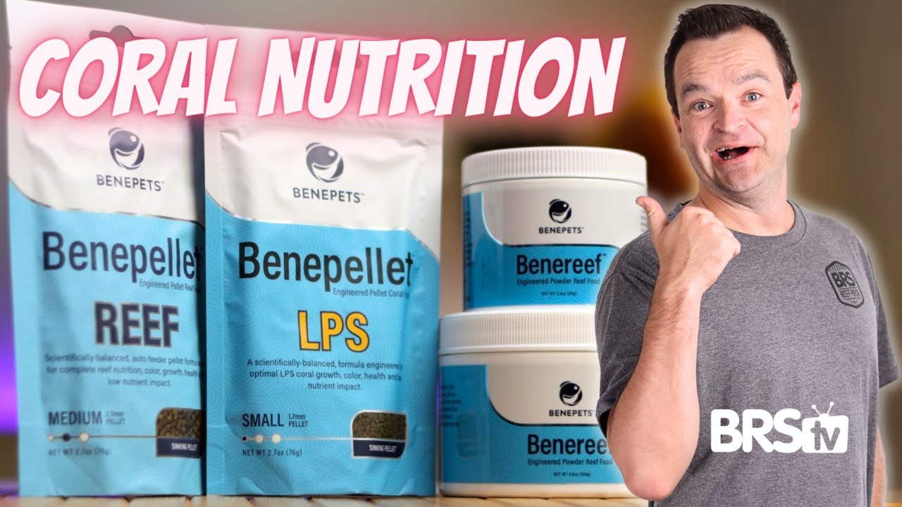 Not Just for Coral... Feed Your Entire Reef Tank! Benepets Foods