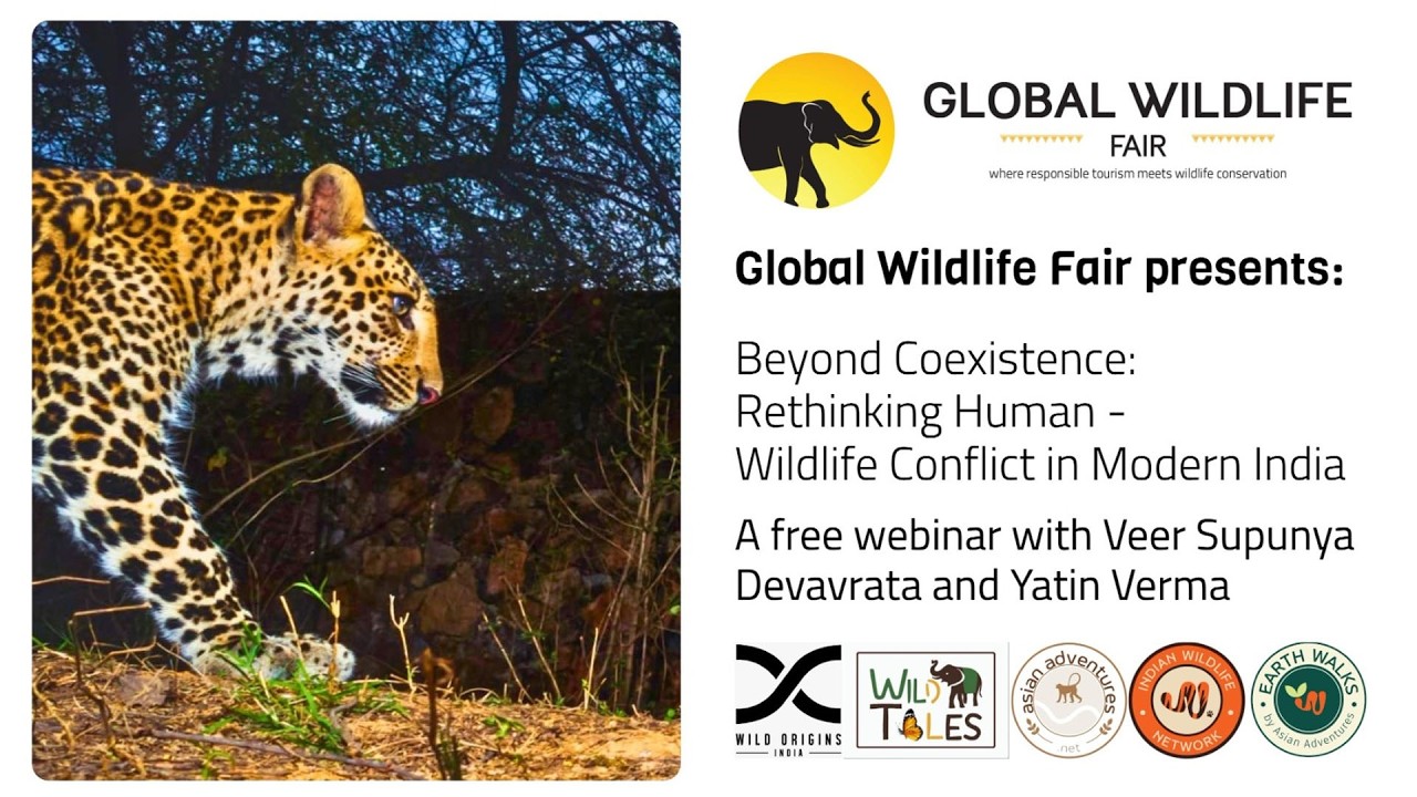 Human-Wildlife Conflict Explained | Global Wildlife Fair Webinar