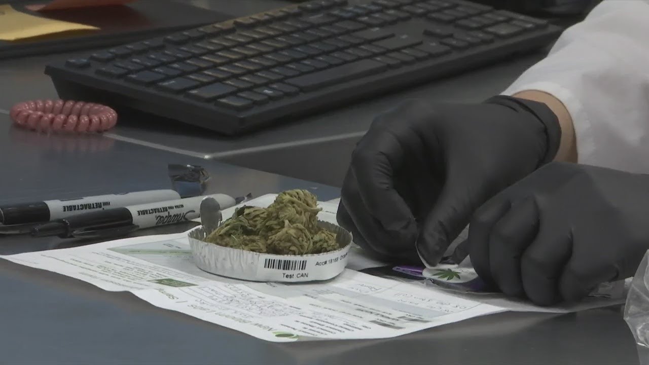 Local cannabis testing company concerned over mislabeled Delta 8 THC products