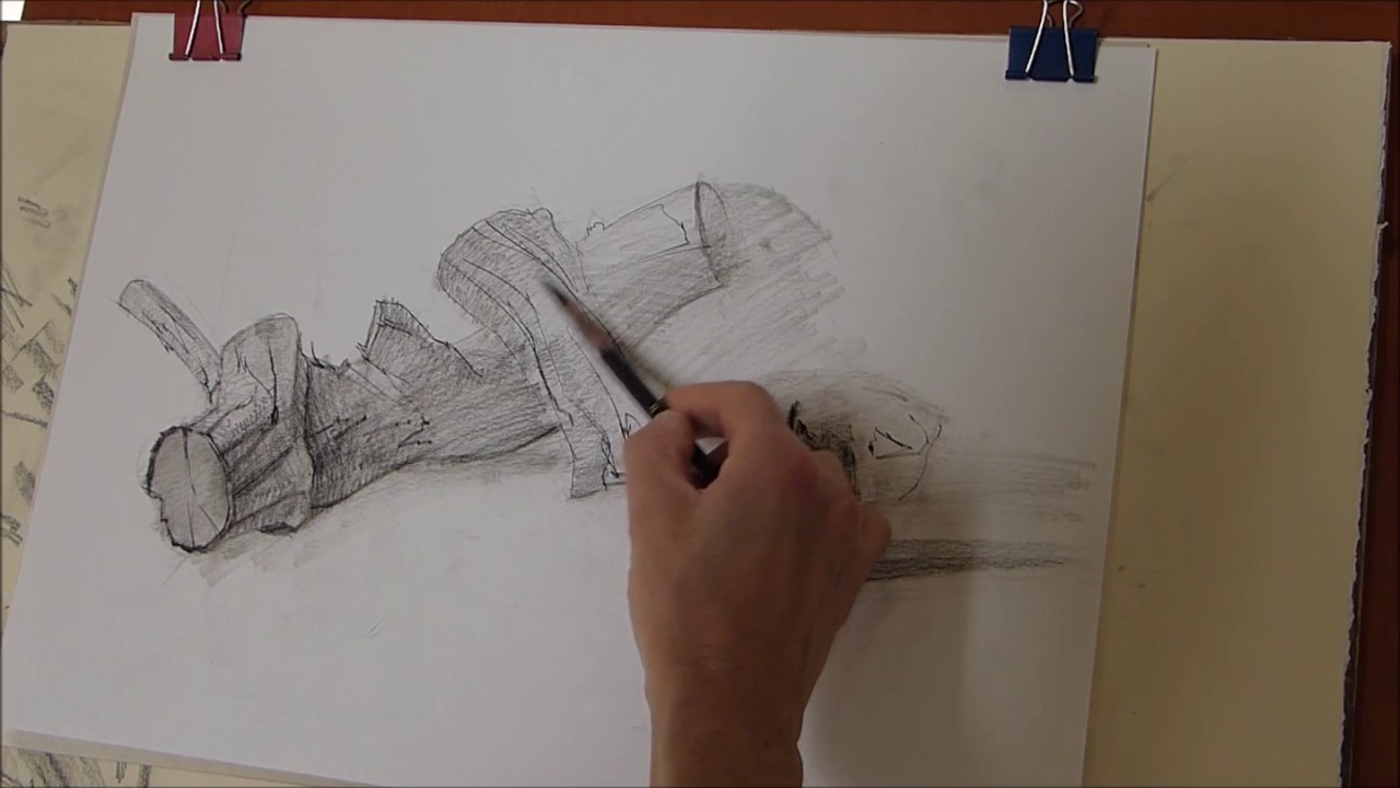 Comment dessiner du bois mort au crayon fusain.