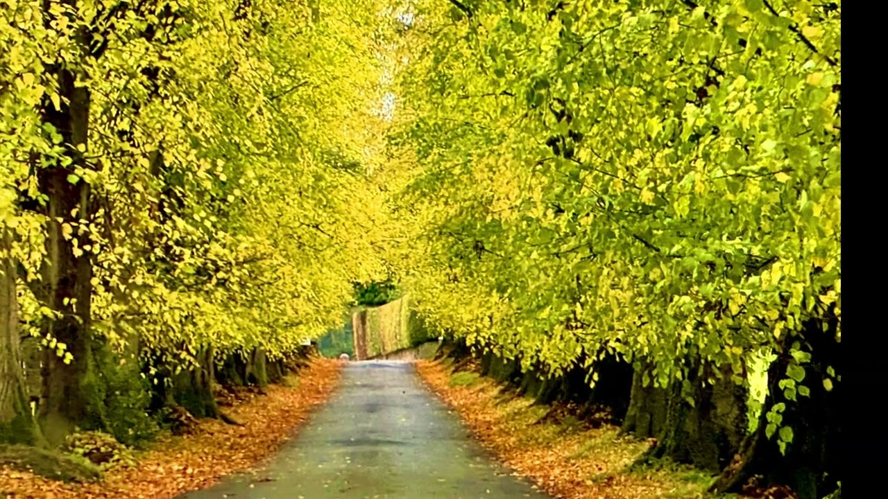 Autumn 3