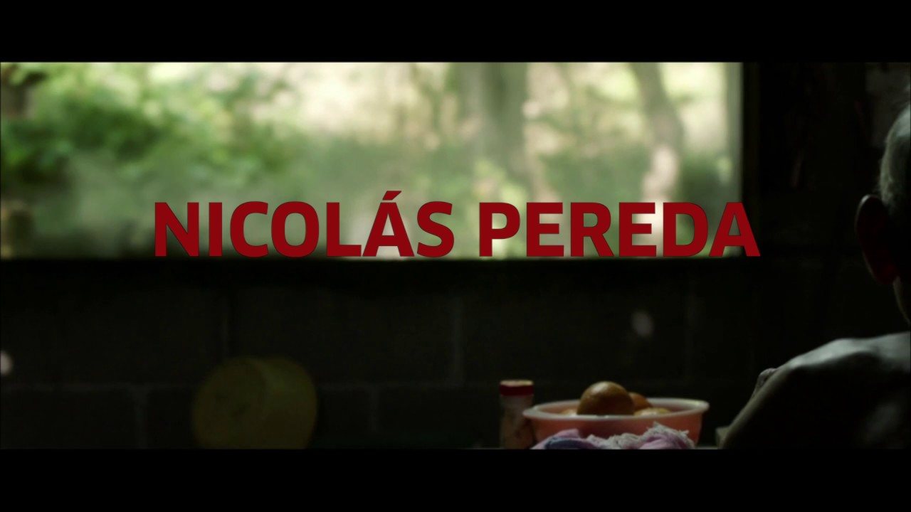 Fokua   Foco  Nicol&aacute;s Pereda