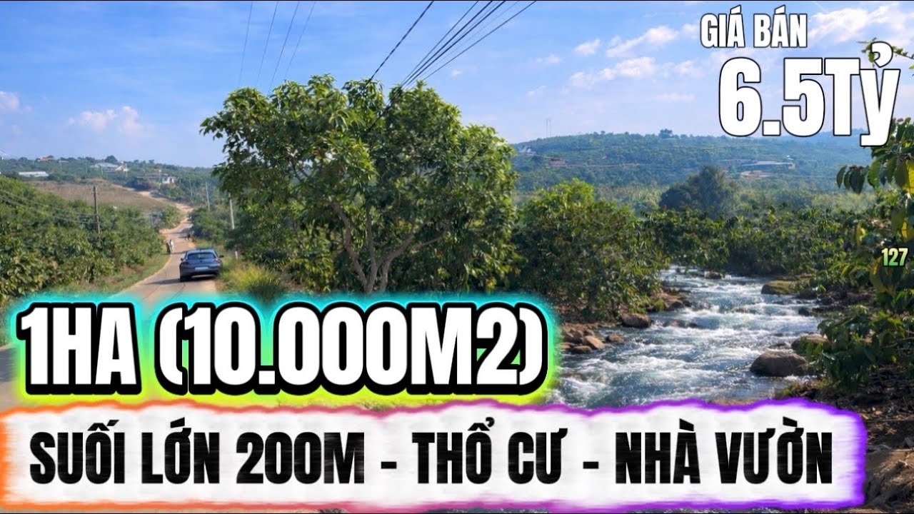 🔴 1ha đất bám suối lớn 200m – có thổ cư, nhà sẵn – giá 6.5 tỷ