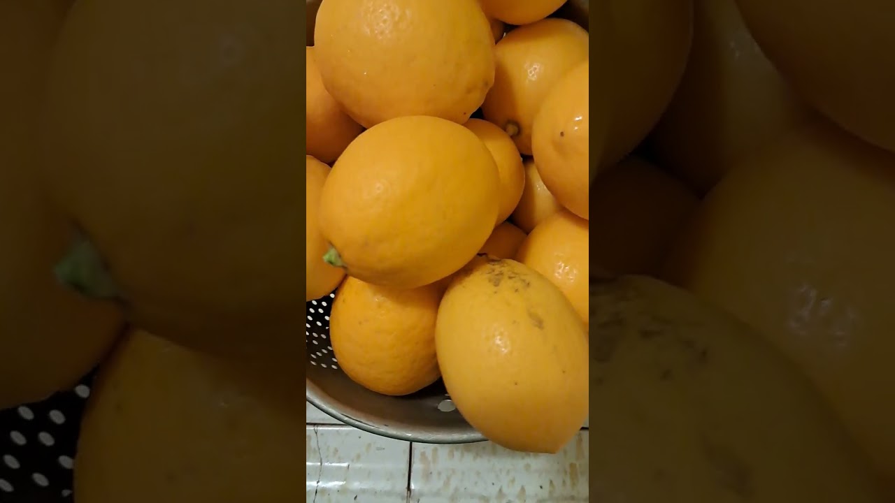 FREE LEMON IN CALIFORNIA ORGANIC,LEMON#FAITHVLOG#