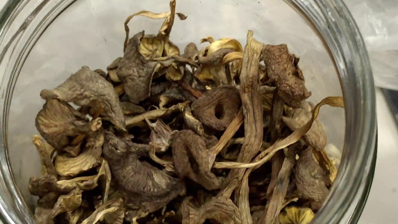 ¿Como se hidratan la angula de monte y la trompeta de los muertos para luego usarlos en cocina?