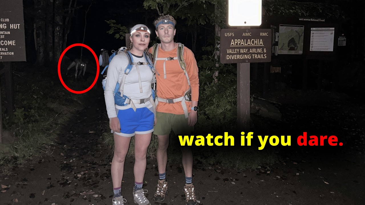 60 SCARIEST Creature Encounters Caught In The Woods | Mega Comp V53